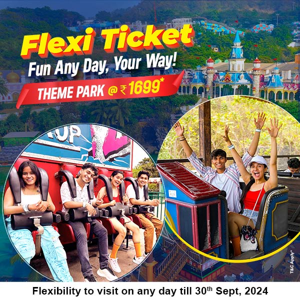Theme Park Flexi Ticket