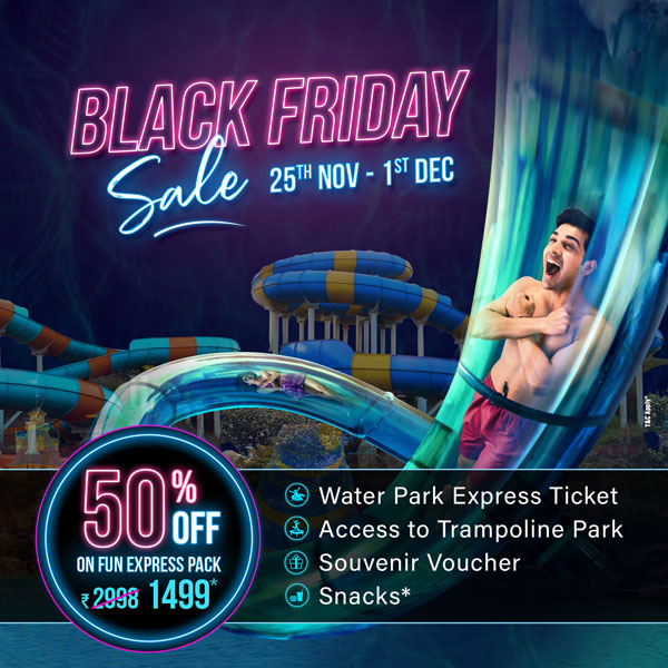 Black-friday-sale-wp-mobile.jpg