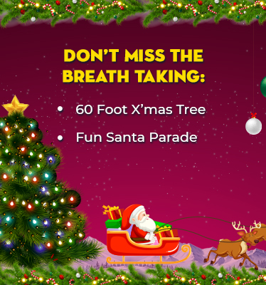 Website-Christmas-Banner_02.jpg